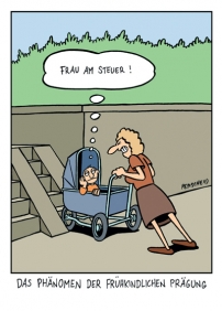 2164.jpg